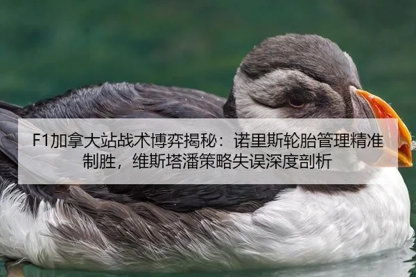 F1加拿大站战术博弈揭秘：诺里斯轮胎管理精准制胜，维斯塔潘策略失误深度剖析